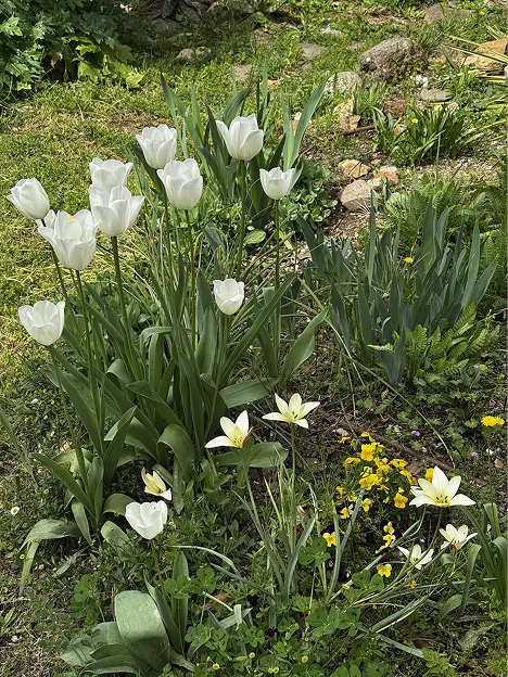 Life in Montseny Natural Park: Why Rural Coliving Builds Real Community